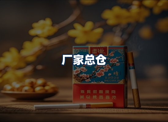专业团队办公环境